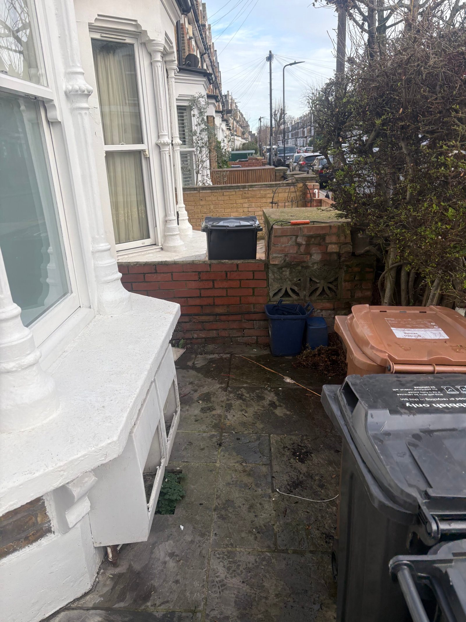 After rubbish clearance in Stoke Newington N16
