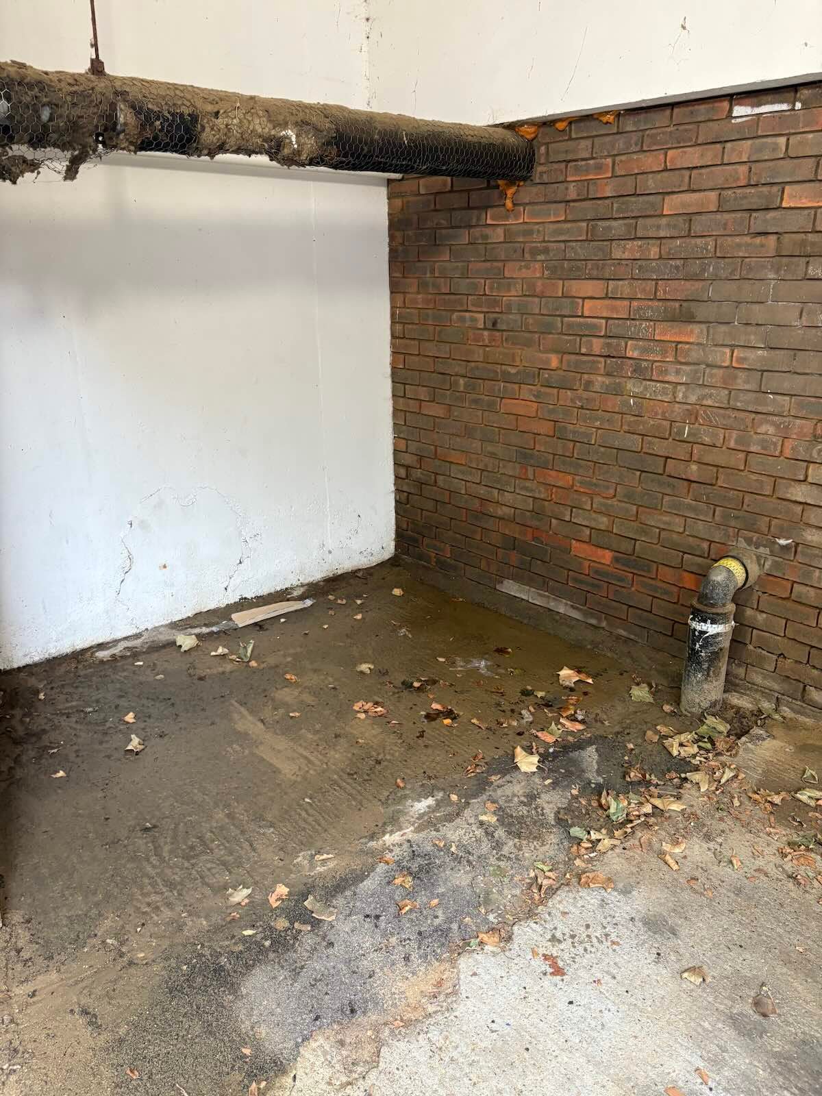 Pallet and bulky waste removal in Somers Town NW1 after collection by MM Rubbish Clearance