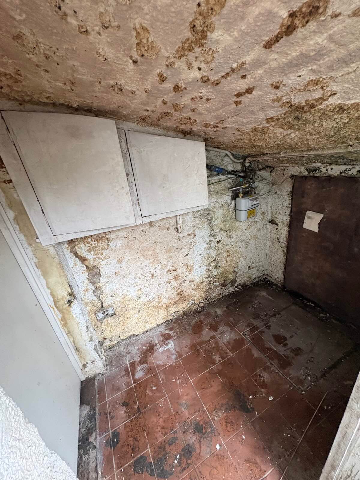 House clearance in Islington N1 — cleared by MM Rubbish Clearance