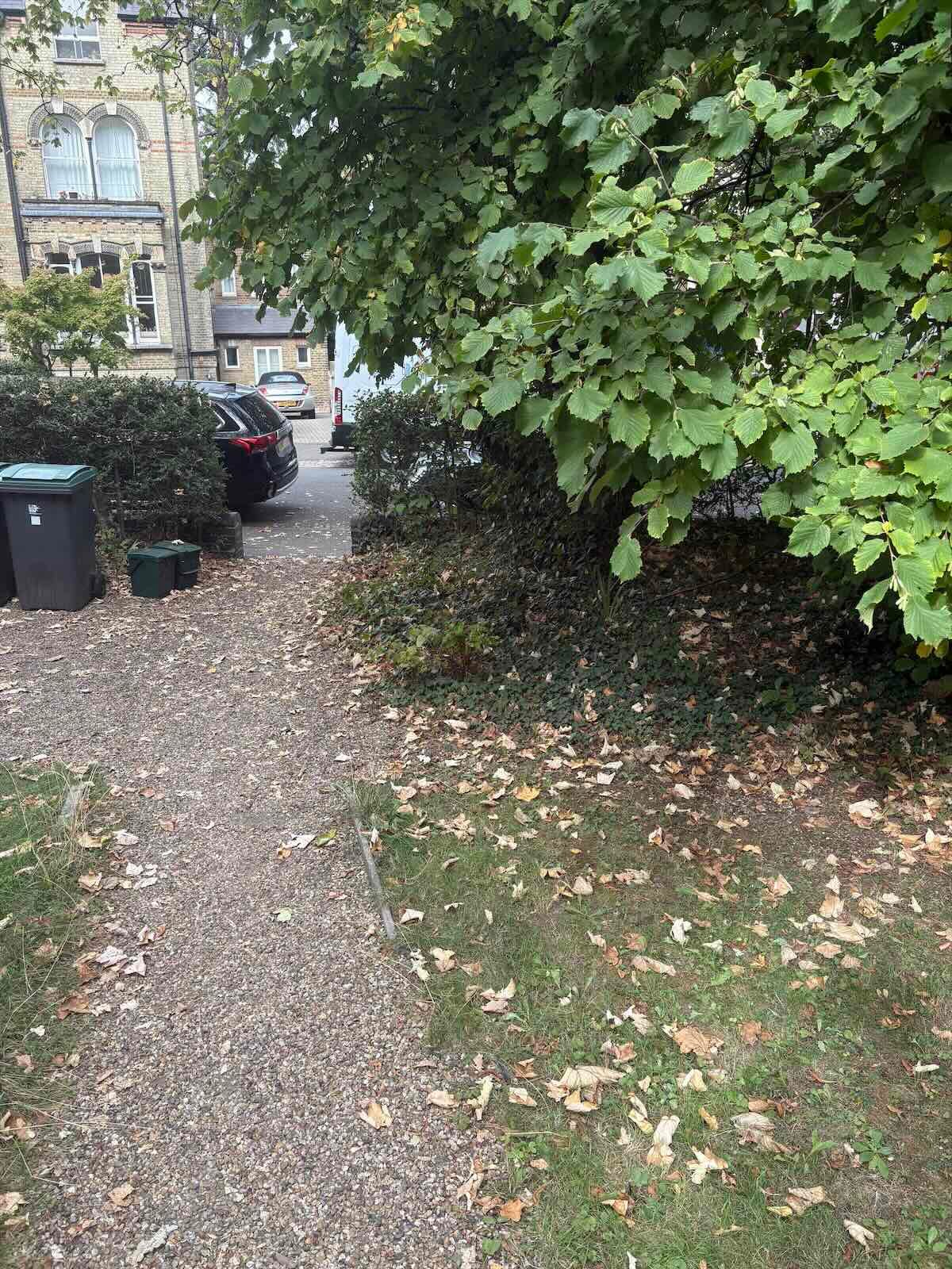 Same Highgate N6 front path cleared after furniture collection, with household bins left in place