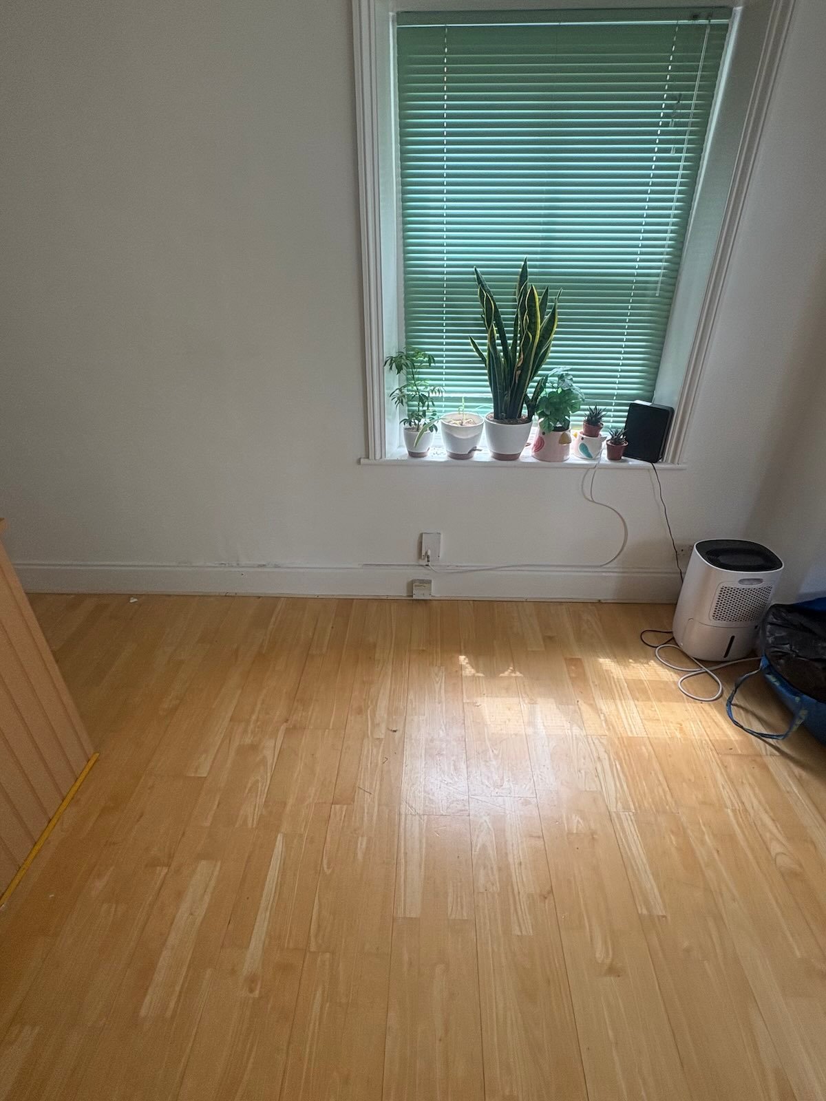Same room in Highgate N6 cleared after the sofa was collected
