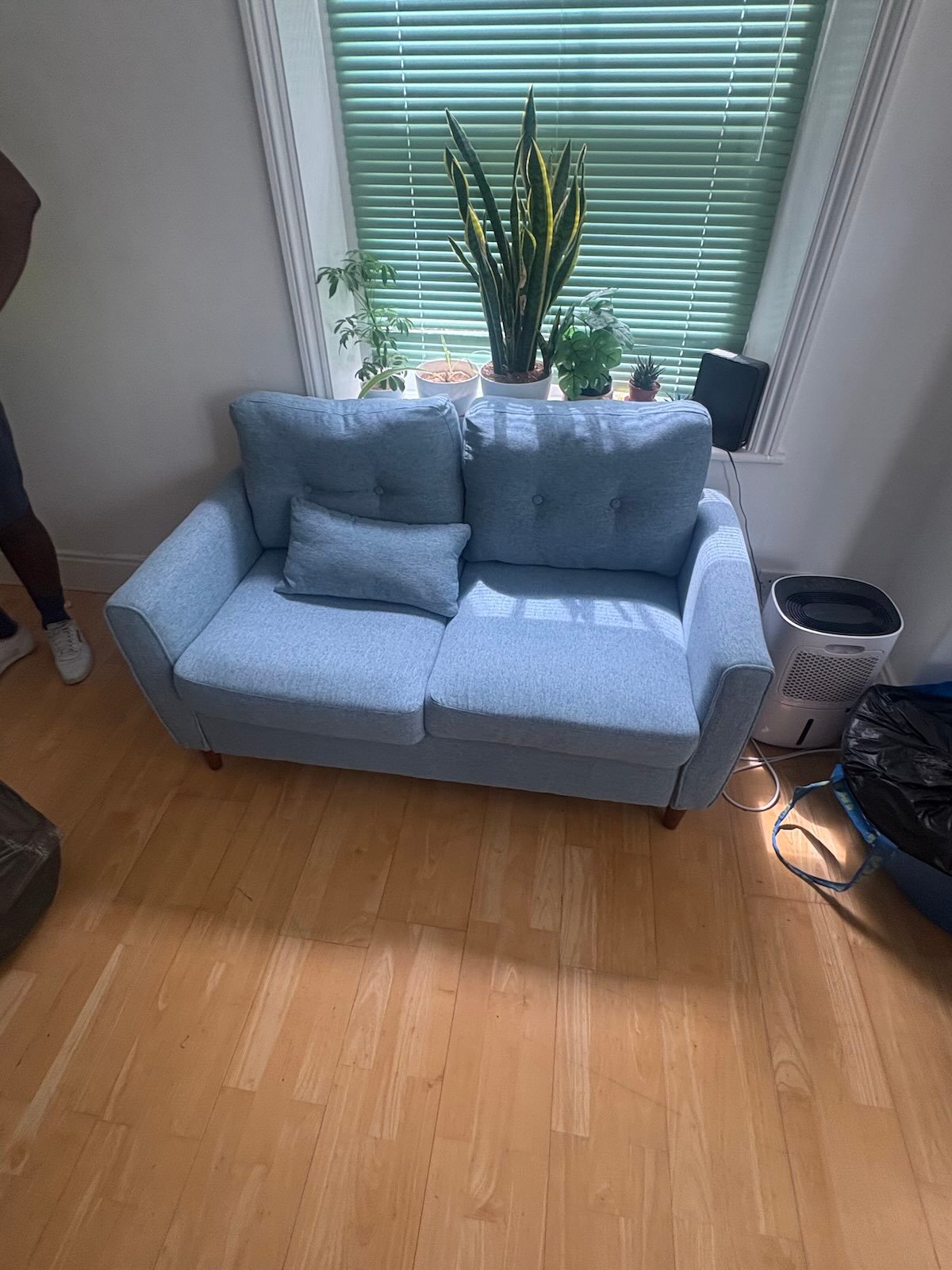 Blue two-seater sofa inside a Highgate N6 home before sofa removal
